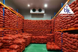 Menjaga Kualitas Bawang Merah - Cold Storage Chiller